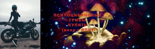 МДПВ Бородино